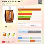 عطر ادکلن دارک امبر فور من بت اند بادی ورکس - Dark Amber for Men Bath & Body Works - بررسی، قیمت و خرید