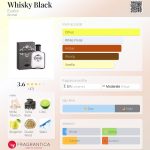 عطر ادکلن ویسکی بلک اوافلور - Whisky Black Evaflor - بررسی، قیمت و خرید