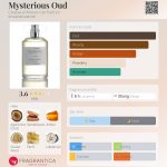 عطر ادکلن میستریوس عود شابود مزون دو پارفوم - Mysterious Oud Chabaud Maison de Parfum - بررسی، قیمت و خرید