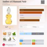 عطر ادکلن امبره اِ دیامان نوآر آمبرگریس - Ambre et Diamant Noir Ambregris - بررسی، قیمت و خرید