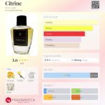 عطر ادکلن سیترین آوا لوکس - Citrine Ava Luxe - بررسی، قیمت و خرید