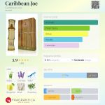 عطر ادکلن کاریبین جو کریبیین جو - Caribbean Joe Caribbean Joe - بررسی، قیمت و خرید
