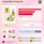 عطر ادکلن اسیمنتوس فراگرنس اکوا دی استرزا - Osmanthus Fragrans Acqua di Stresa - بررسی، قیمت و خرید