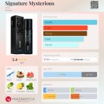 عطر ادکلن ساینچر میستریوس اکس - Signature Mysterious AXE - بررسی، قیمت و خرید