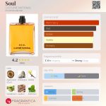 عطر ادکلن سول کاستوم نشنال - Soul CoSTUME NATIONAL - بررسی، قیمت و خرید