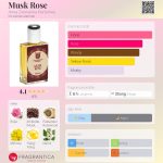 عطر ادکلن ماسک رز آنا زوروکینا پرفیومز - Musk Rose Anna Zworykina Perfumes - بررسی، قیمت و خرید
