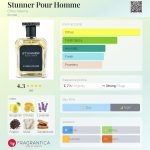 عطر ادکلن استنر پور هوم کریس آدامز - Stunner Pour Homme Chris Adams - بررسی، قیمت و خرید
