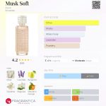 عطر ادکلن ماسک سافت ایوون - Musk Soft Avon - بررسی، قیمت و خرید
