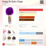 عطر ادکلن فاکی بای کیت کلپ بیوتی دراگز - Foggy by Kate Clapp Beautydrugs - بررسی، قیمت و خرید