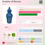 عطر ادکلن پرومیست آو هیون ایون - Promise of Heaven Avon - بررسی، قیمت و خرید
