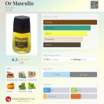 عطر ادکلن اور مسکولن بورژوآ - Or Masculin Bourjois - بررسی، قیمت و خرید