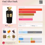 عطر ادکلن اود افتر دارک امورود - Oud After Dark Amouroud - بررسی، قیمت و خرید
