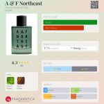عطر ادکلن ای اند اف نورت‌ایست ابرکرومبی اند فیچ - A & F Northeast Abercrombie & Fitch - بررسی، قیمت و خرید