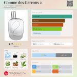 عطر ادکلن کوم دو گارسون کوم دس گارسون - Comme des Garcons 2 Comme des Garcons - بررسی، قیمت و خرید