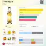 عطر ادکلن مونتنی کرون - Montaigne Caron - بررسی، قیمت و خرید