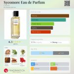 عطر ادکلن سیکومور او دو پرفیوم شانل - Sycomore Eau de Parfum Chanel - بررسی، قیمت و خرید