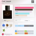 عطر ادکلن عود آمور ابرکرومبی اند فیچ - Oud Amour Abercrombie & Fitch - بررسی، قیمت و خرید