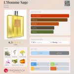 عطر ادکلن لوم ساژ دایوین - L'Homme Sage Divine - بررسی، قیمت و خرید