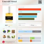 عطر ادکلن اِمِرالد استریت الکساندریا فراگرنس - Emerald Street Alexandria Fragrances - بررسی، قیمت و خرید