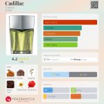 عطر ادکلن کادیلاک کادیلاک - Cadillac Cadillac - بررسی، قیمت و خرید