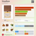 عطر ادکلن مگالیوم کارنر بارسلونا - Megalium Carner Barcelona - بررسی، قیمت و خرید