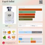 عطر ادکلن اسپریت اینفینی هیاری پرفیومز - Esprit Infini Hayari Parfums - بررسی، قیمت و خرید
