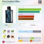 عطر ادکلن فرست اینستینکت بلو ابرکرومبی اند فچ - First Instinct Blue Abercrombie & Fitch - بررسی، قیمت و خرید