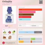 عطر ادکلن اورتیوغیا چیاتو - Ortiughia Ciatu - Soul of Sicily - بررسی، قیمت و خرید