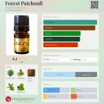 عطر ادکلن فورست پاچولی آلکمیا پرفیومز - Forest Patchouli Alkemia Perfumes - بررسی، قیمت و خرید
