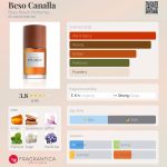 عطر ادکلن بسو کانایا بسو بیچ پرفیومز - Beso Canalla Beso Beach Perfumes - بررسی، قیمت و خرید