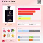عطر ادکلن آلتیمت رز کریستین پروونزانو پارفومز - Ultimate Rose Christian Provenzano Parfums - بررسی، قیمت و خرید