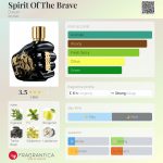 عطر ادکلن اسپیریت آو د بریو دیزل - Spirit Of The Brave Diesel - بررسی، قیمت و خرید