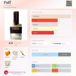 عطر ادکلن پاف سی جی سنتس - Puff CJ Scents - بررسی، قیمت و خرید