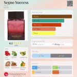 عطر ادکلن سگنو ساکسس اون - Segno Success Avon - بررسی، قیمت و خرید