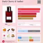 عطر ادکلن دارک چری اند امبر بنانا ریپابلیک - Dark Cherry & Amber Banana Republic - بررسی، قیمت و خرید
