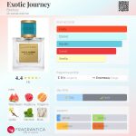 عطر ادکلن اگزاتیک جرنی بیرکولز - Exotic Journey Birkholz - بررسی، قیمت و خرید