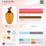 عطر ادکلن سه لَ وی کریستین لاکروآ - C'est La Vie Christian Lacroix - بررسی، قیمت و خرید