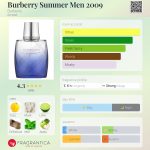 عطر ادکلن بربری سامر من دو هزار و نه بربری - Burberry Summer Men 2009 Burberry - بررسی، قیمت و خرید