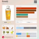 عطر ادکلن برندی ژیلس کانتول - Brandy Gilles Cantuel - بررسی، قیمت و خرید