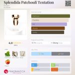 عطر ادکلن اسپلندیدا پچولی تنتیشن بولگاری - Splendida Patchouli Tentation Bvlgari - بررسی، قیمت و خرید