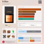 عطر ادکلن فلینو کارنر بارسلونا - Felino Carner Barcelona - بررسی، قیمت و خرید