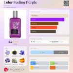 عطر ادکلن کالر فیلینگ پرپل بروکارد - Color Feeling Purple Brocard - بررسی، قیمت و خرید