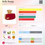 عطر ادکلن بل روژ الحرمیین پرفیومز - Belle Rouge Al Haramain Perfumes - بررسی، قیمت و خرید