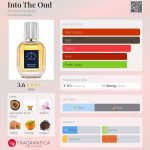 عطر ادکلن اینتو دِ عود استروفیل و استلا - Into The Oud Astrophil & Stella - بررسی، قیمت و خرید