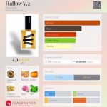 عطر ادکلن هالو وی تو بِلَک‌بِرد - Hallow V.2 Blackbird - بررسی، قیمت و خرید