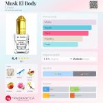 عطر ادکلن ماسک ال بادی النبیل - Musk El Body El Nabil - بررسی، قیمت و خرید