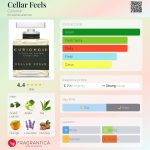 عطر ادکلن سلر فیلز کیوریونور - Cellar Feels Curionoir - بررسی، قیمت و خرید