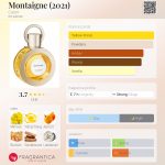 عطر ادکلن مونتین کارِن - Montaigne (2021) Caron - بررسی، قیمت و خرید