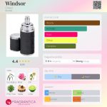 عطر ادکلن ویندزور کرید - Windsor Creed - بررسی، قیمت و خرید