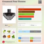 عطر ادکلن آرنامنت پور هوم افنان - Ornament Pour Homme Afnan - بررسی، قیمت و خرید